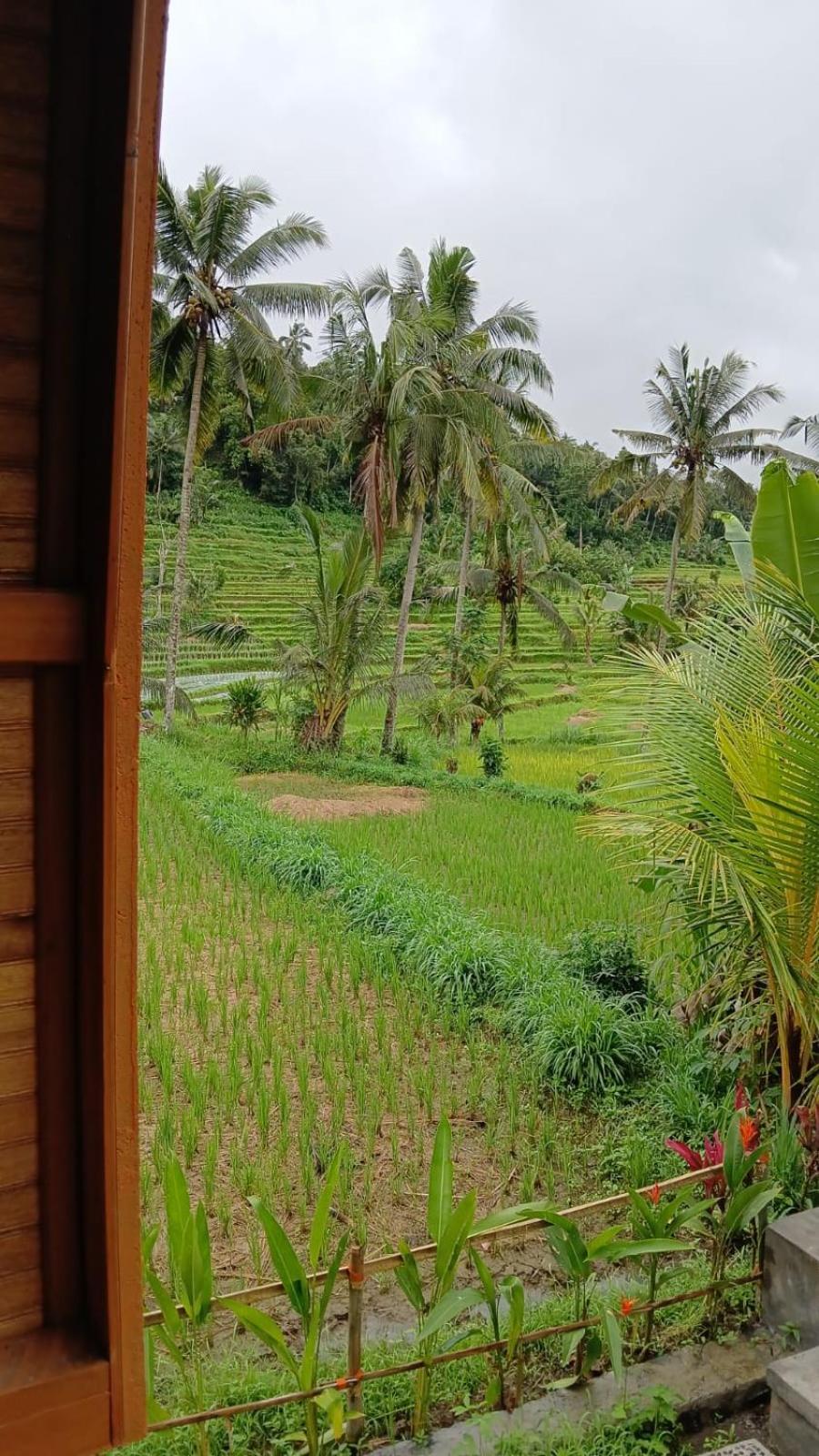 Lumbung Umaluah Villa سيديمين المظهر الخارجي الصورة